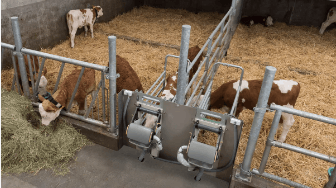 GEA DairyFeed F4634 - the HygieneBox